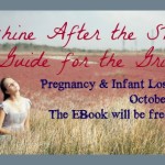 Sunshine After the Storm: A Survival Guide for the Grieving Mother is published! {Pregnancy and Infant Loss}